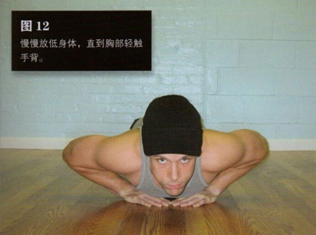 囚徒健身:用失传的技艺练就强大的生存实力 第五章 胸肌与肱三头肌-第13张图片-体能网