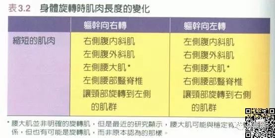 身体纠正训练的17个入门指南-第11张图片-体能网