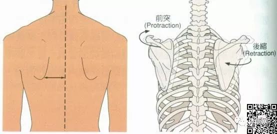 身体纠正训练的17个入门指南-第4张图片-体能网