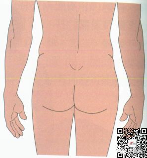身体纠正训练的17个入门指南-第15张图片-体能网