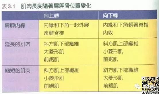 身体纠正训练的17个入门指南-第5张图片-体能网