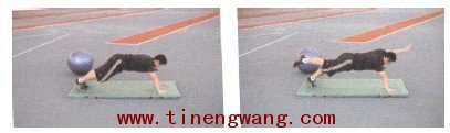 徒手核心力量训练方法-第16张图片-体能网 徒手核心力量训练方法-第16张图片-体能网