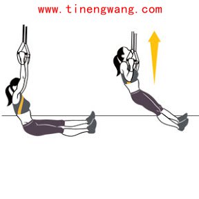 引体向上的六周训练计划-第2张图片-体能网 引体向上的六周训练计划-第2张图片-体能网