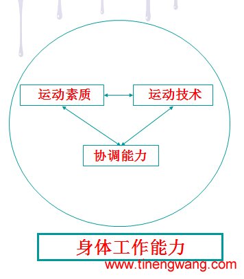 当代优秀运动员力量训练新理念-第1张图片-体能网