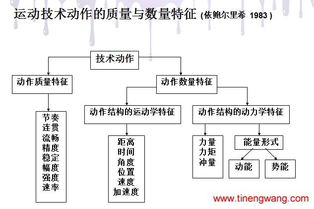 当代优秀运动员力量训练新理念-第2张图片-体能网