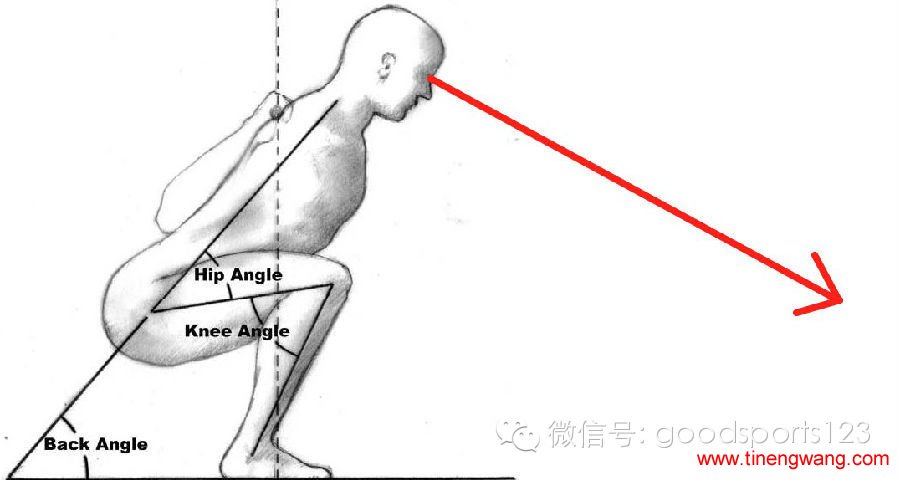 低杠位深蹲技术动作——low bar squat-第5张图片-体能网