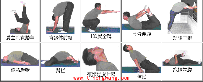 什么是柔软度以及如何测量-第11张图片-体能网 什么是柔软度以及如何测量-第11张图片-体能网