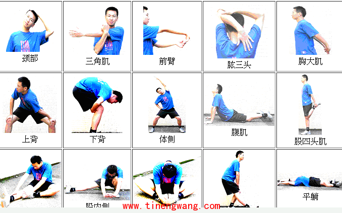 什么是柔软度以及如何测量-第10张图片-体能网 什么是柔软度以及如何测量-第10张图片-体能网