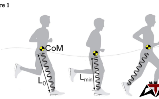 跑步时的弹簧效应