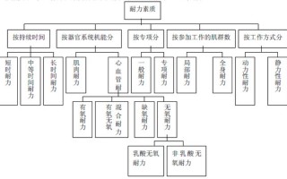 耐力训练的分类 耐力训练的分类