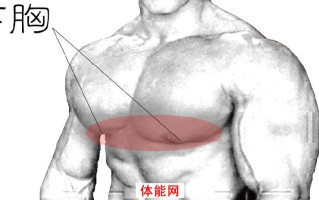 下胸部的崛起--完美下胸7大策略