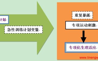 抗阻训练计划的设计 抗阻训练计划的设计